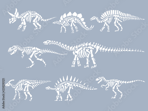 Set of dinosaurs fossils skeletons. Vector illustration