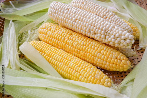 yellow sweet corn and white corn of Hokkaido, Japan, Product of Thailand