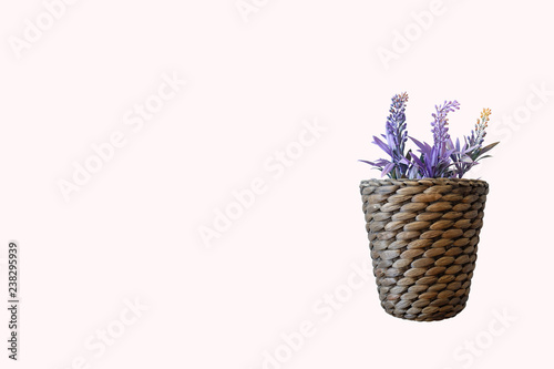 Flowers on a wooden handmade basket, Basketweave for home decor isolated on rose pink background, clipping path.