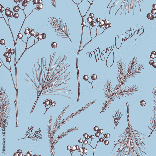 Seamless pattern with colored rowan, lettering, pine branch, spruce, redwood
