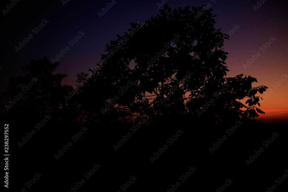 Fototapeta premium Beautiful sunrise.