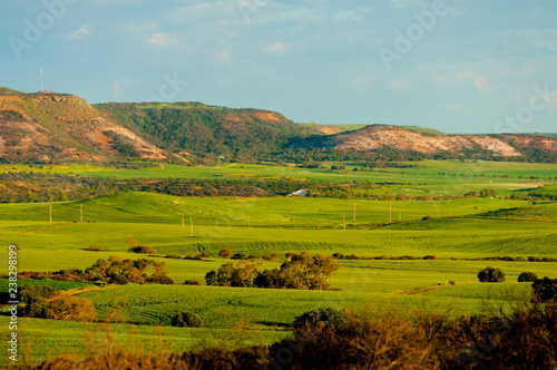 Pastures & Fields in Mid West - Western Australia © Adwo