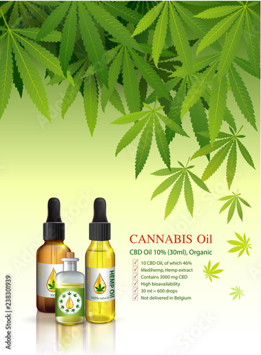 Marijuana plant and cannabis oil bottles vector.