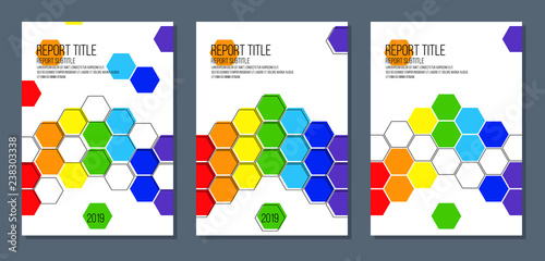 report catalog magazine brochure cover with rainbow colored honeycombs