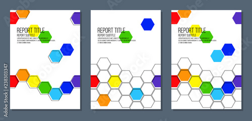 report catalog magazine brochure cover with rainbow colored honeycombs