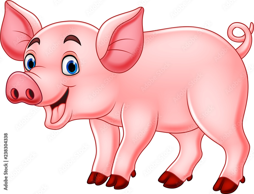 Cute pig cartoon