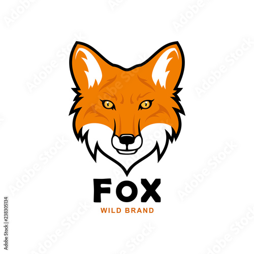 Fox head character. Red fox vector mascot.