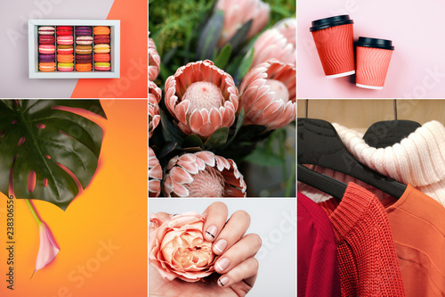 Creative collage in Living Coral color photo