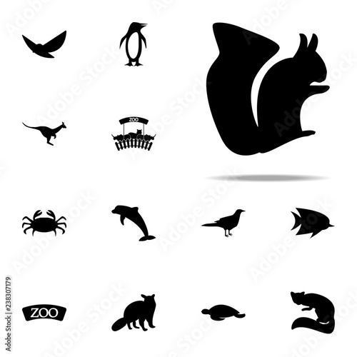 silhouette of a squirrel icon. zoo icons universal set for web and mobile