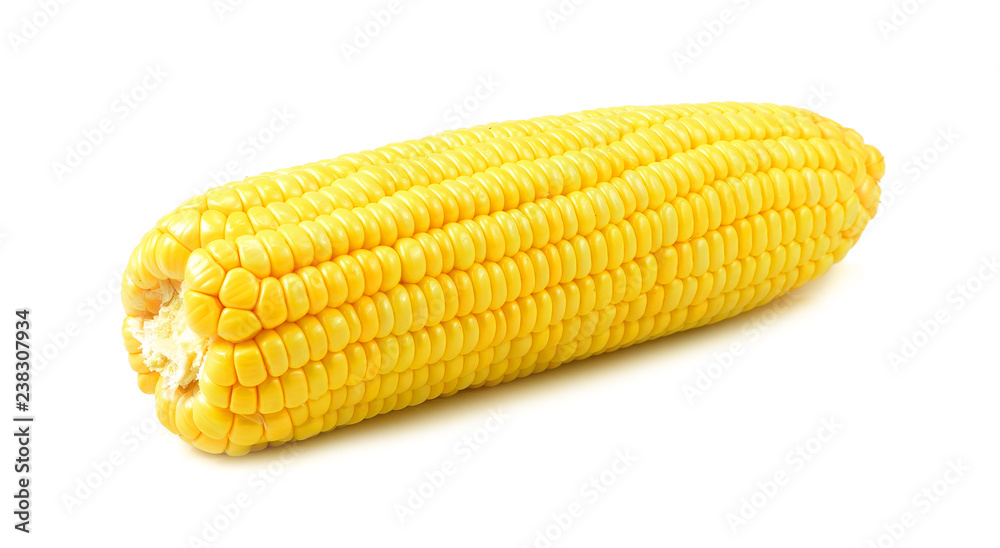 Corn isolated on white background. Corn isolated on white background.