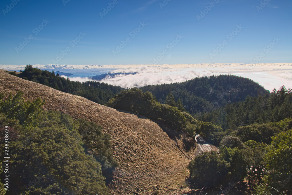View of the San Francisco Bay Area from the top of Mountain Tamalpais in the Marin County Area, blue sky, fogs covering the bay area