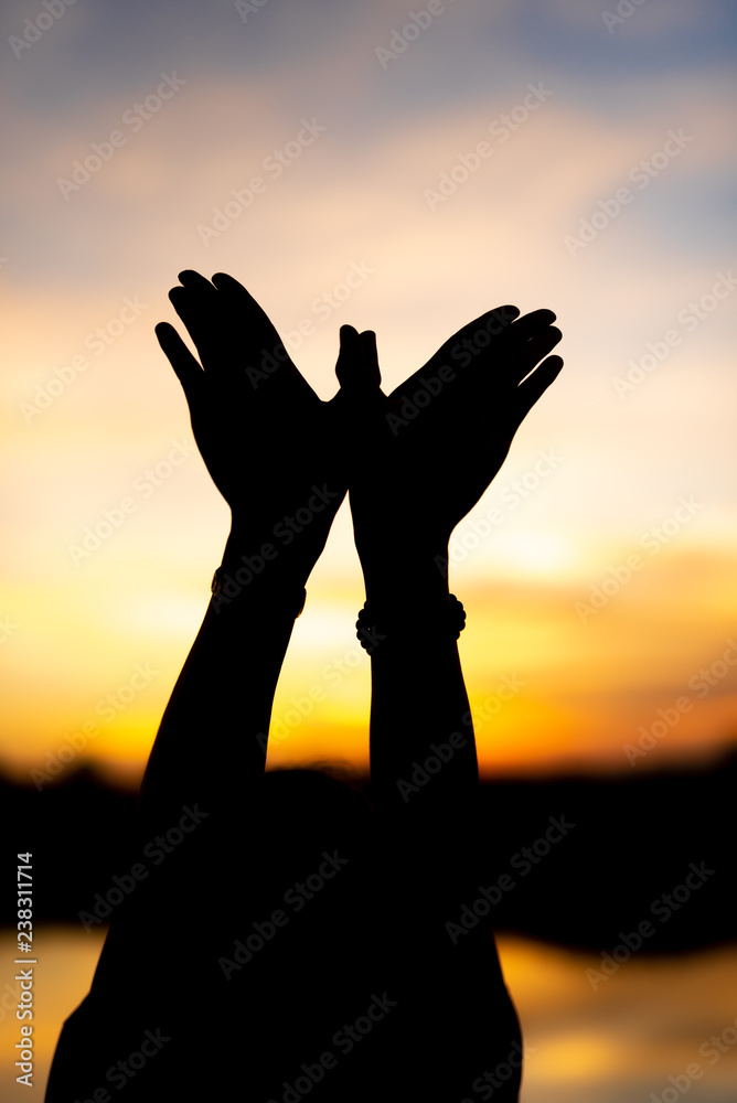 Fototapeta premium symbol bird freedom at sunset.
