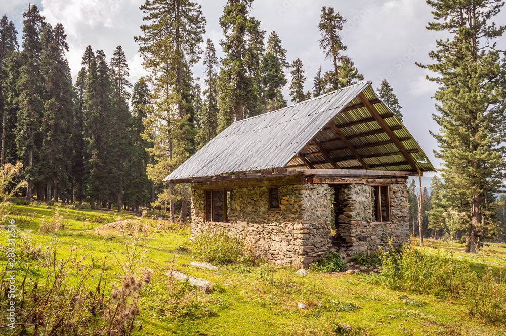Oblque view of a stone masonry house with a pitched roof in a forest in Kashmir