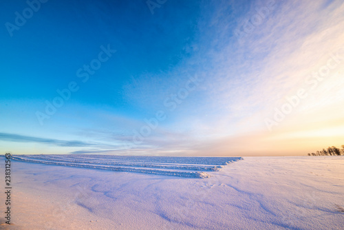 tire tracks on snow-covered field with winter blue sky on background 