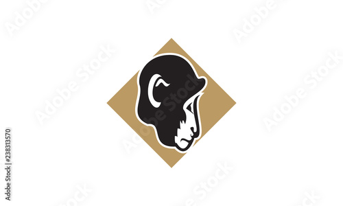 Head monkey logo photo
