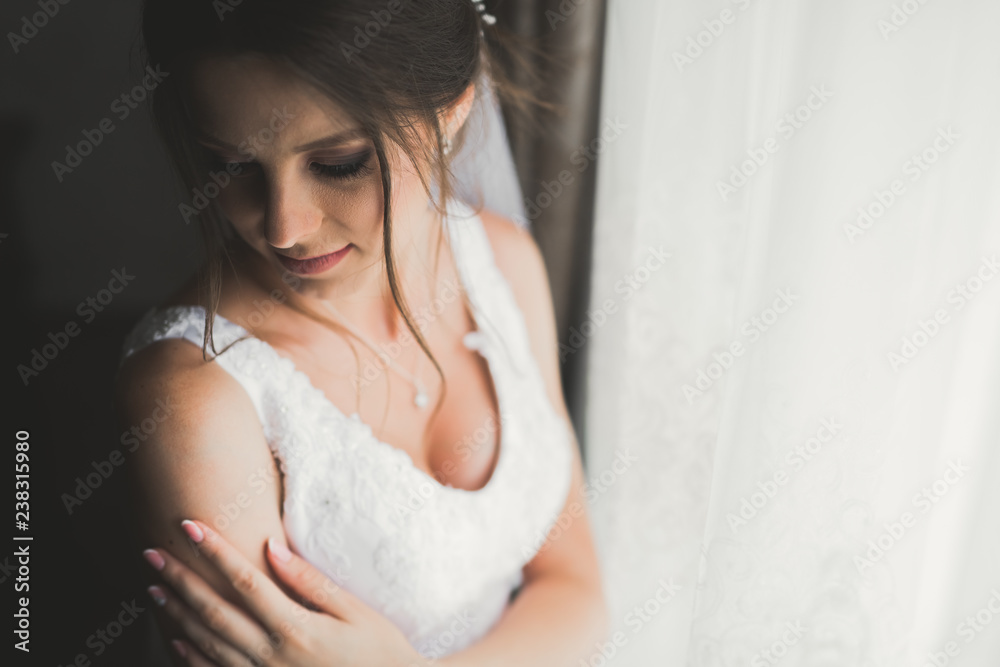 Beautiful bride wearing fashion wedding dress with feathers with luxury delight make-up and hairstyle, studio indoor photo shoot Beautiful bride wearing fashion wedding dress with feathers with luxury delight make-up and hairstyle, studio indoor photo shoot