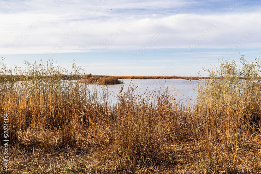 Lake in the steppe of kazakhstan in the autumn.