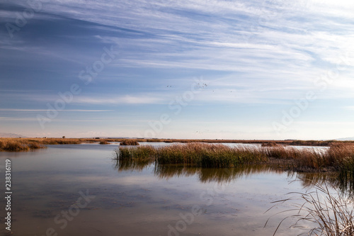 Lake in the steppe of kazakhstan in the autumn.