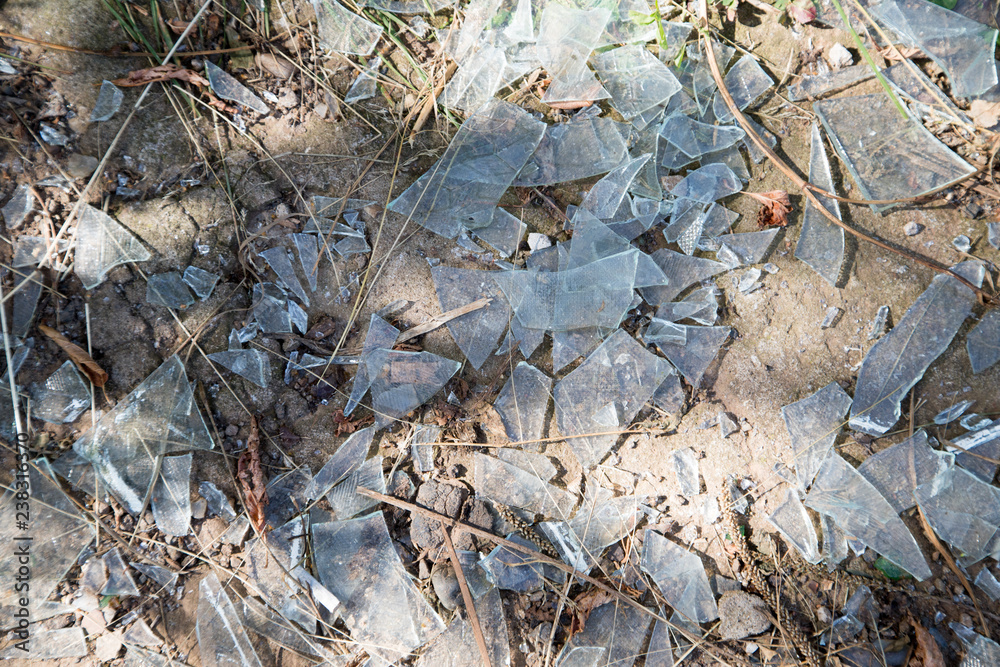 Broken glass shards on the ground mixed with grass