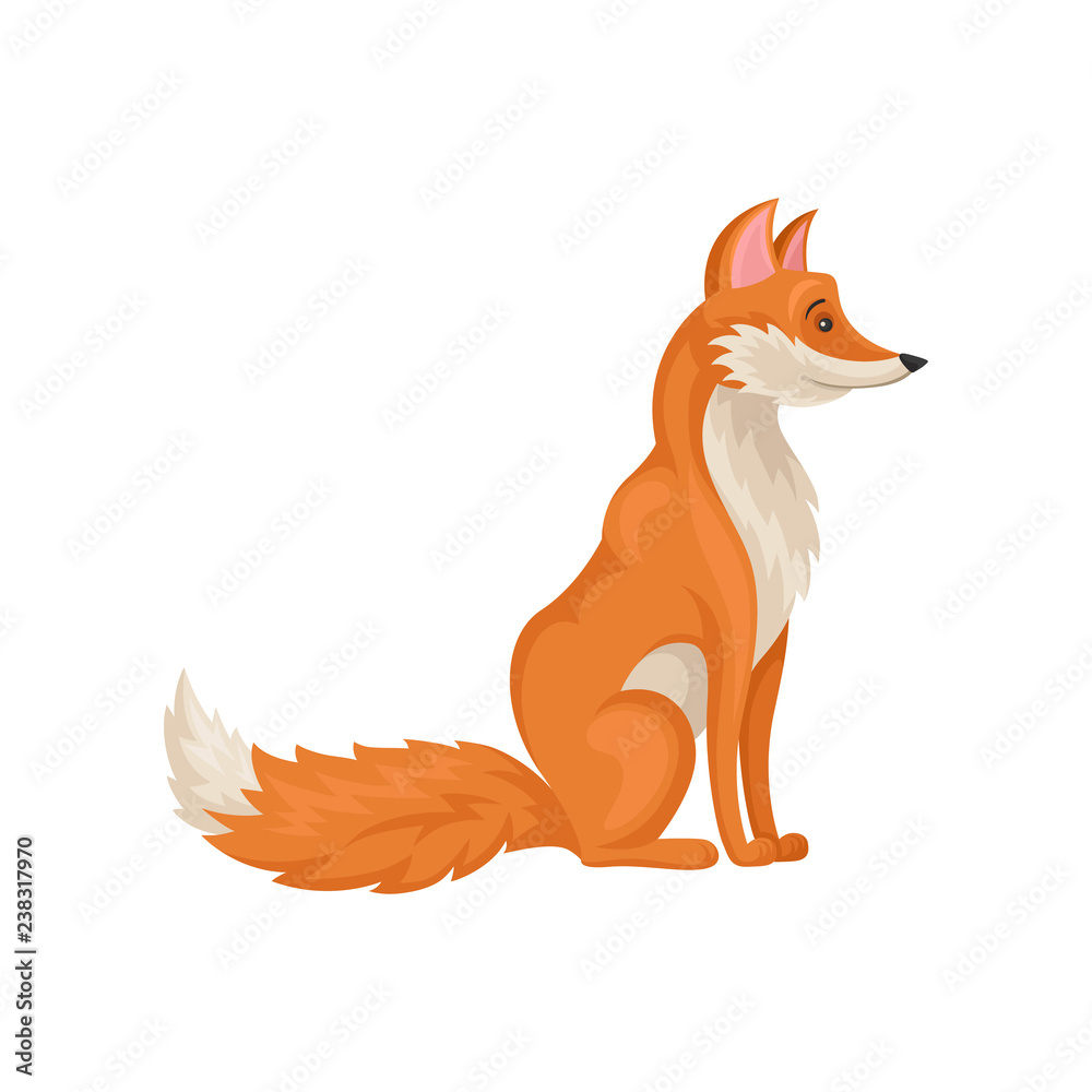 Flat vector icon of sitting red fox, side view. Mammal animal with fluffy tail. Wild creature. Forest fauna theme Flat vector icon of sitting red fox, side view. Mammal animal with fluffy tail. Wild creature. Forest fauna theme