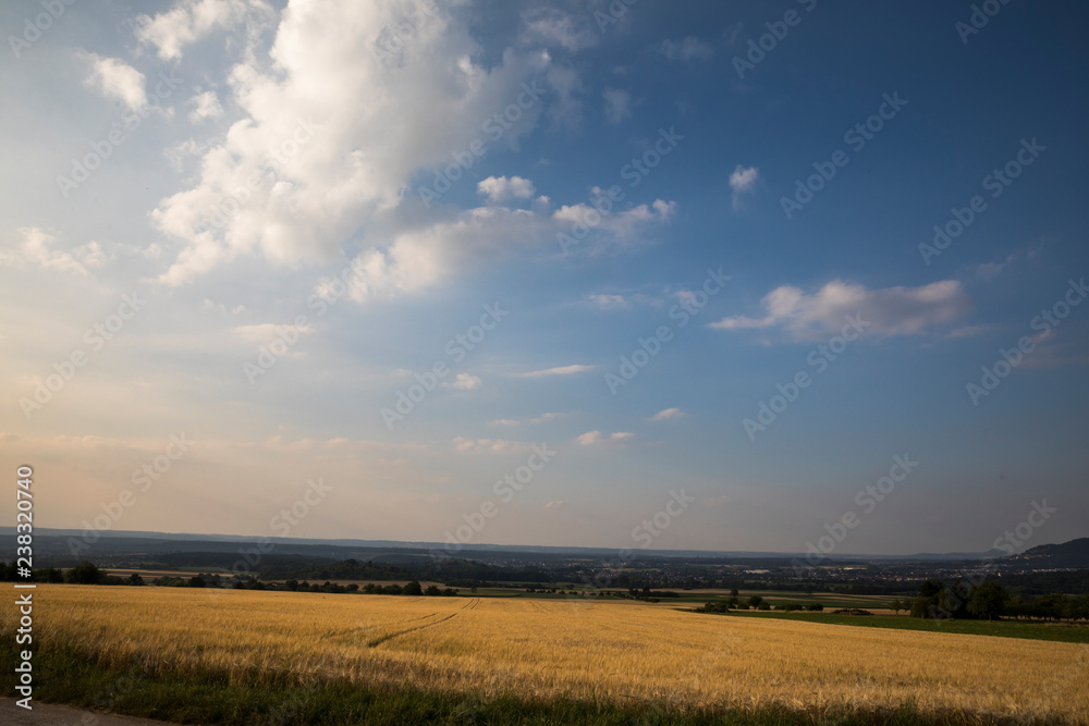 Agrarlandschaft