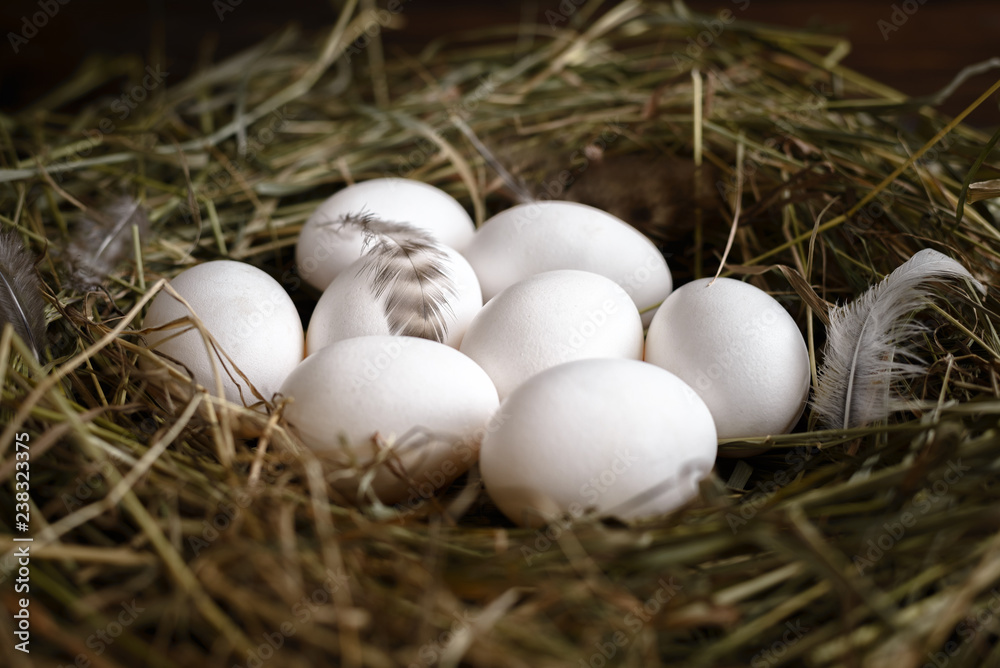 white and brown eggs on straw and wooden dark background.