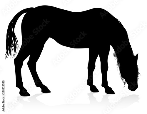 A high quality very detailed horse in silhouette