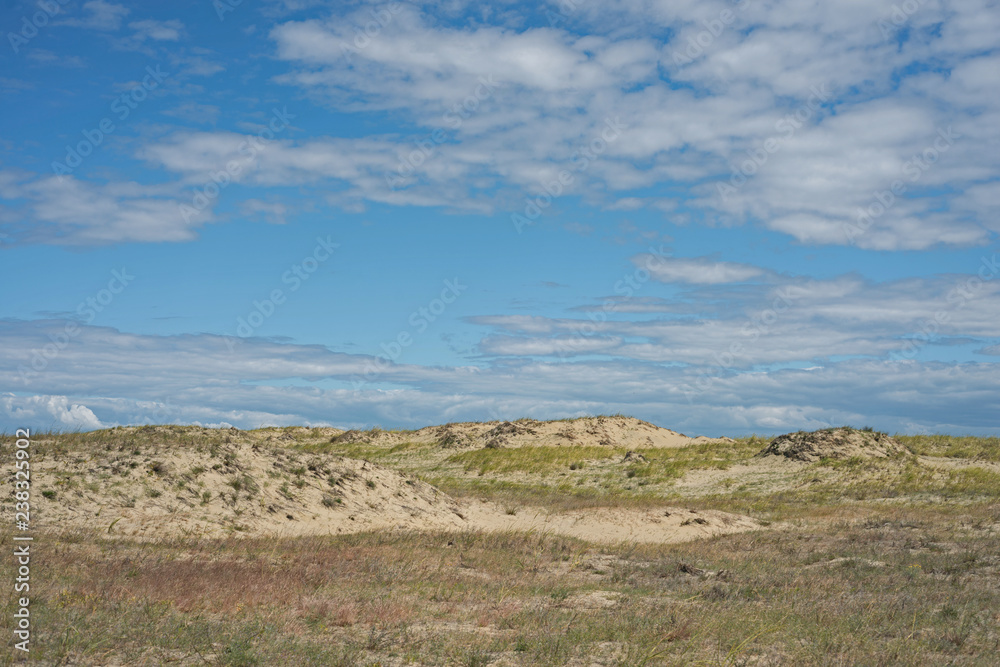 Landscape of the Curonian Spit in the summer Landscape of the Curonian Spit in the summer