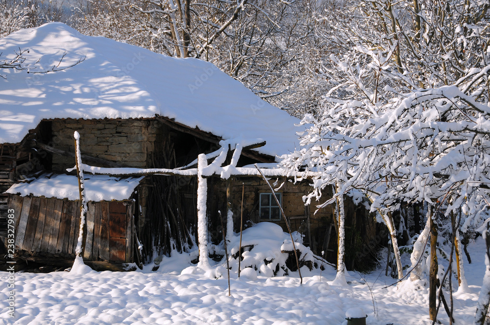 Obraz na plátně Part of Abandoned House in the Winter