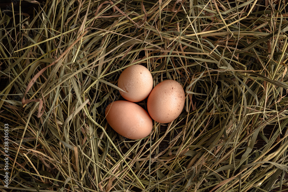 Top view of fresh brown eggs on straw.