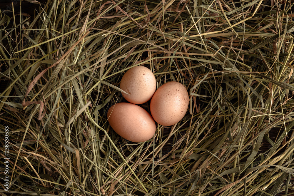 Top view of fresh brown eggs on straw. Top view of fresh brown eggs on straw.