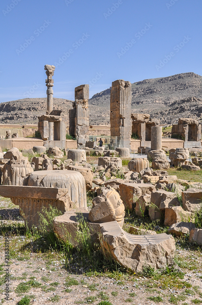 Fototapeta premium Ruins of ancient Persepolis, Iran