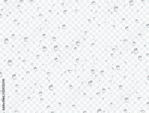 Water rain drops or steam shower isolated on transparent background. Vector pure droplets on window glass surface for your design.