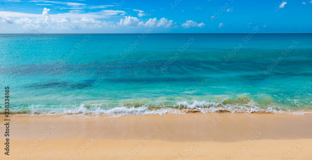 Caribbean white sandy beach and crystal clear ocean. Tropical summer holiday beach.