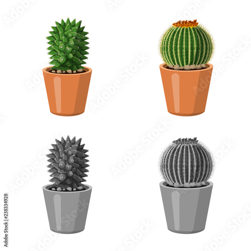 Isolated object of cactus and pot symbol. Set of cactus and cacti stock vector illustration.