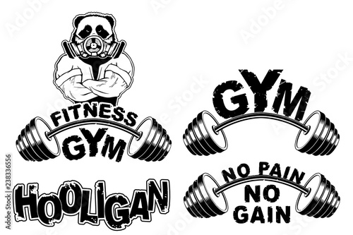 Vector set design for a gym with an abstract image of a strong panda.