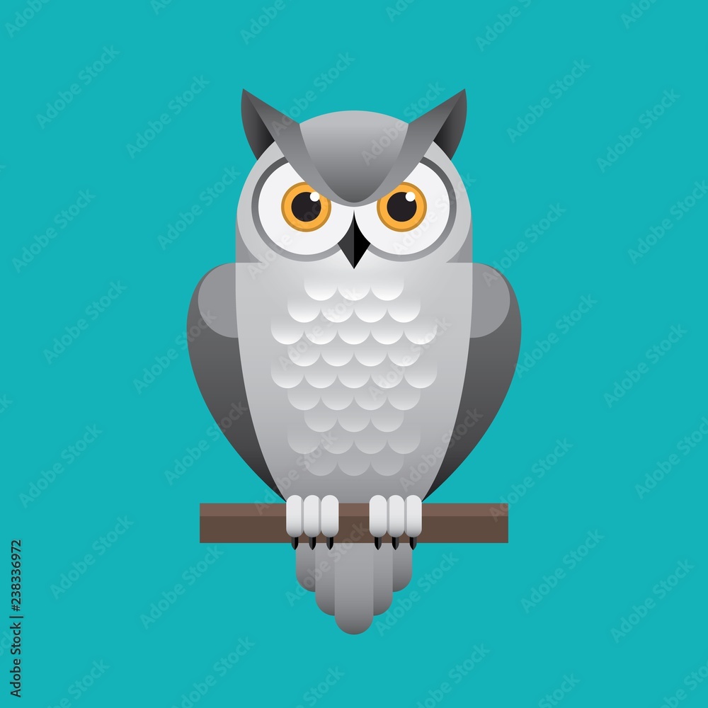 Cute white owl illustration on blue background.