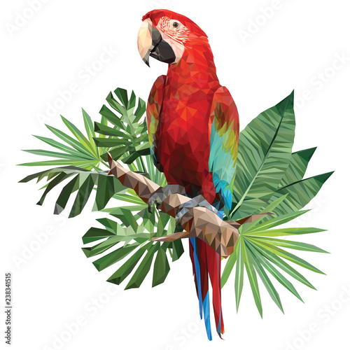 Obraz na płótnie Illustration polygonal drawing of green wing macaw. w salonie