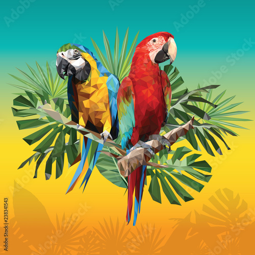Illustration polygonal drawing of two macaw birds.