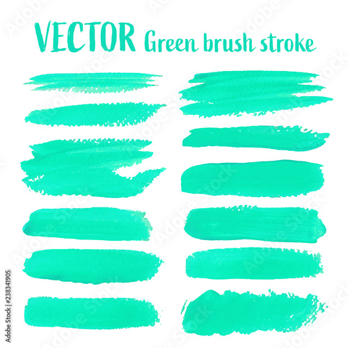 Green brush stroke isolated on white background, Vector illustration.
