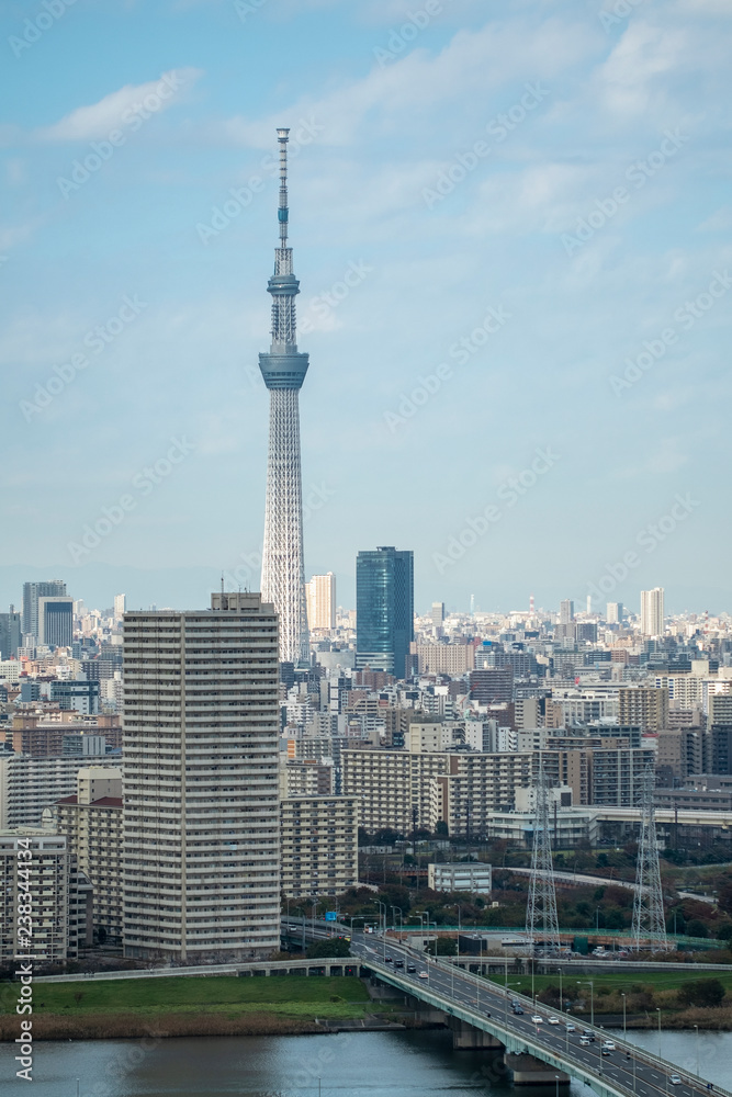 Obraz premium Tokyo sky tree