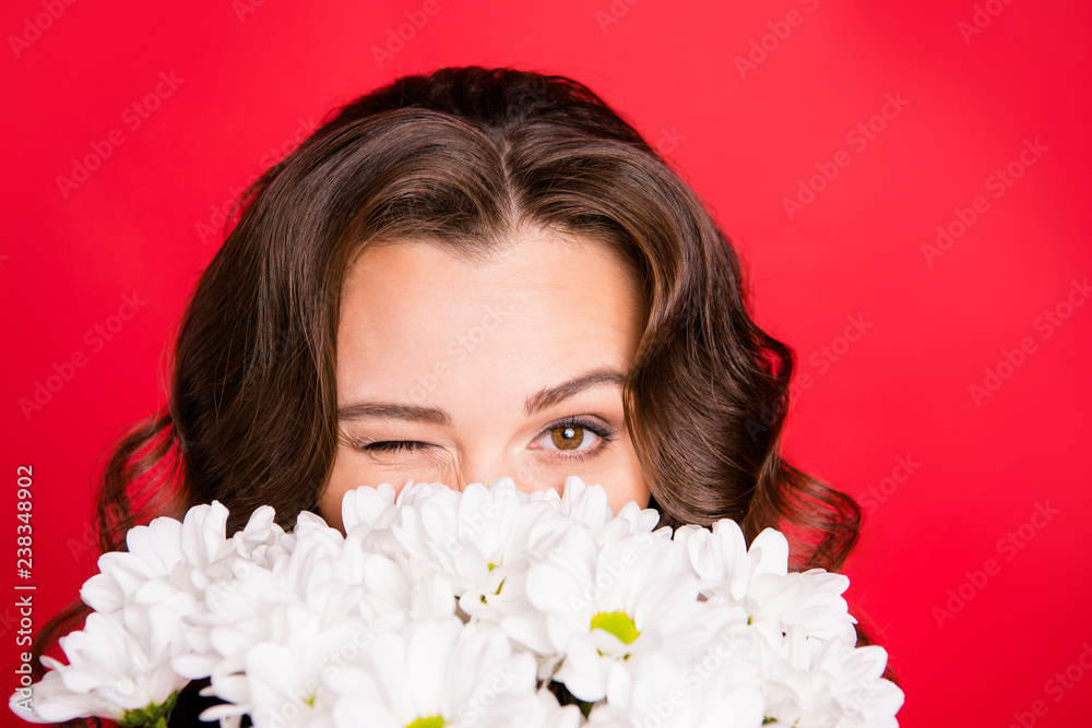 Close-up cropped portrait of nice cute lovely attractive coquettish cheerful wavy-haired girl hiding holding smelling white summer flowers isolated over bright vivid shine red background Close-up cropped portrait of nice cute lovely attractive coquettish cheerful wavy-haired girl hiding holding smelling white summer flowers isolated over bright vivid shine red background