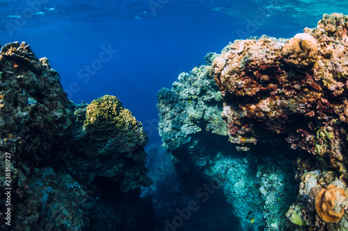 Underwater rocks with corals in ocean. Menjangan island, Bali