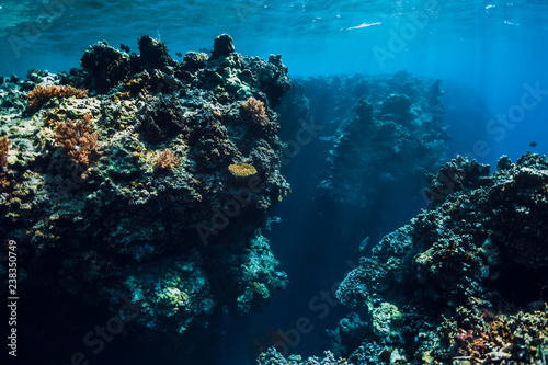 Underwater rocks with corals in blue ocean. Menjangan island  Bali