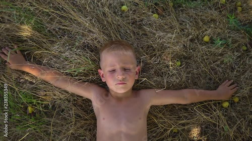 A little boy lies under a big tree among small apples. Unstoppable children's laughter. Happy childhood. Childhood dreams. Place of solitude. Journey back to childhood. Fabulous tree. Memories.