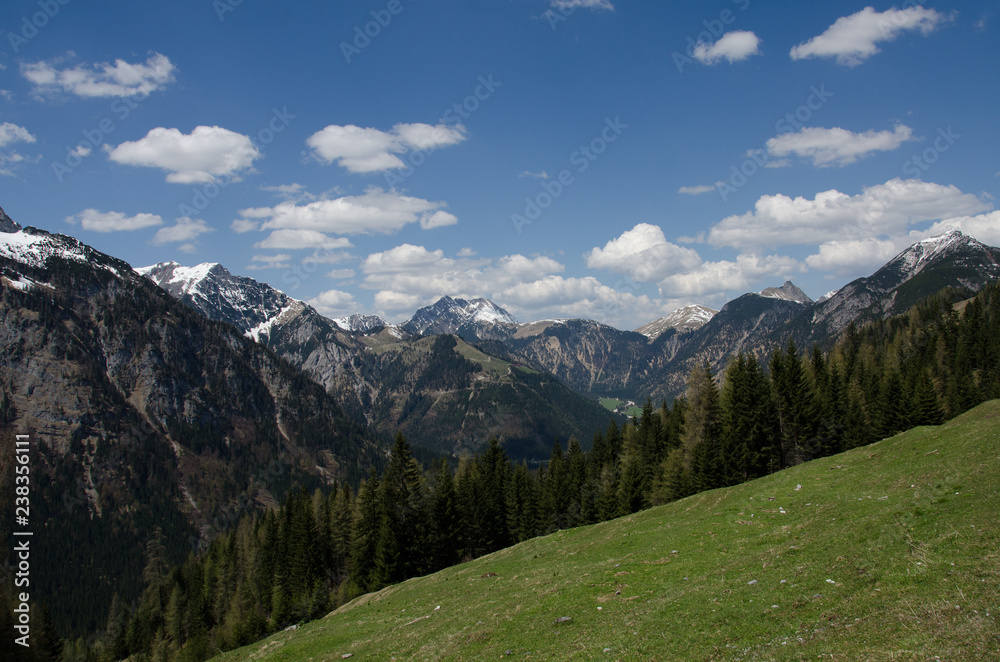 Alpenpanorama