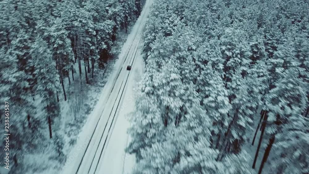 Drone at high speed chase the car on snowy country road in spruce forest, cinematographic frames