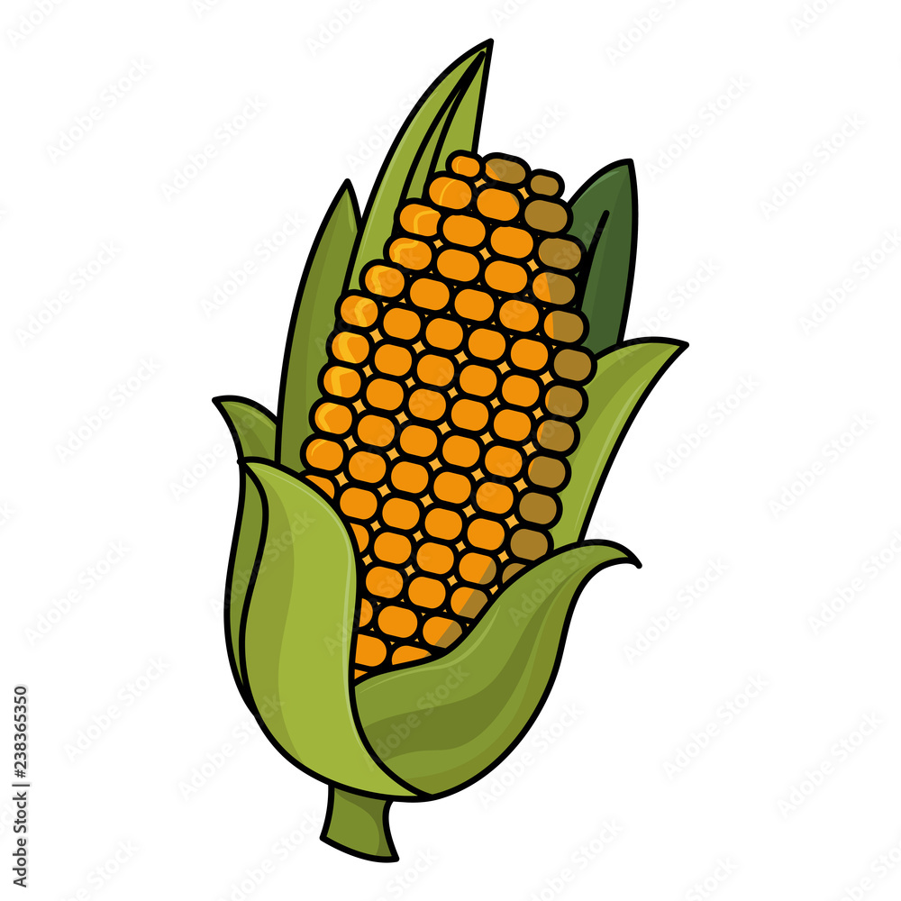 Obraz premium thanksgiving day cob