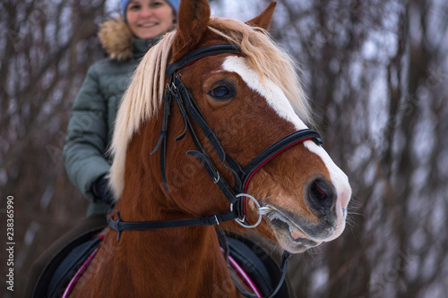 The horsewoman and her red horse with white stripe on a blurred background in rural. The happy caucasian woman is having a horseback riding in a winter forest.
