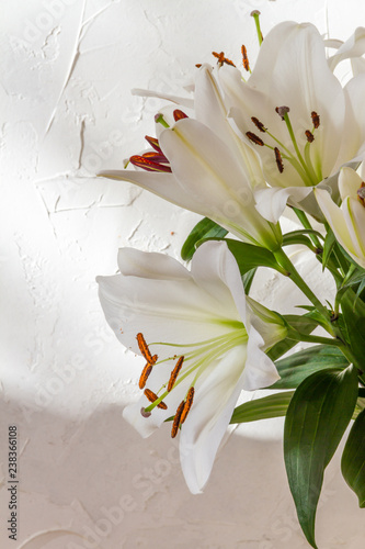 Fototapeta Naklejka Na Ścianę i Meble -  Flower bouquet, white lilies in a vase. White background.